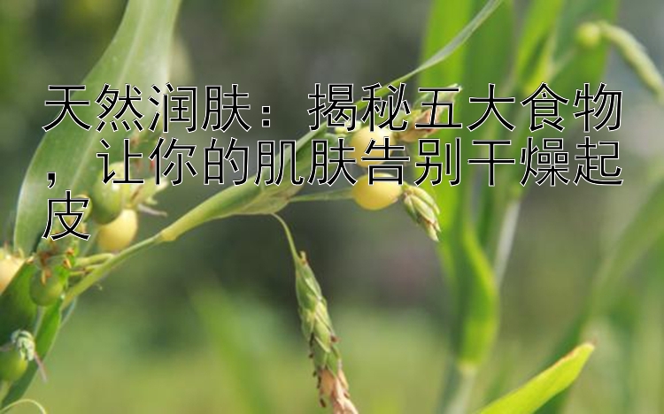 天然润肤：揭秘五大食物，让你的肌肤告别干燥起皮