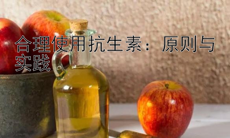 合理使用抗生素：原则与实践