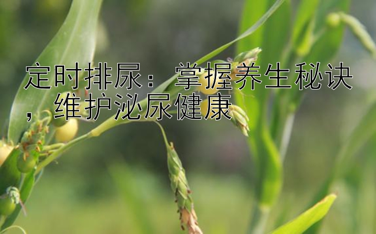 定时排尿：掌握养生秘诀，维护泌尿健康