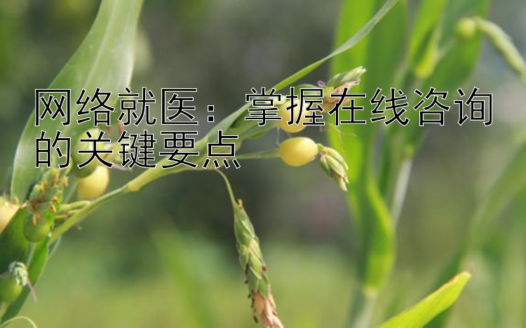 网络就医：掌握在线咨询的关键要点