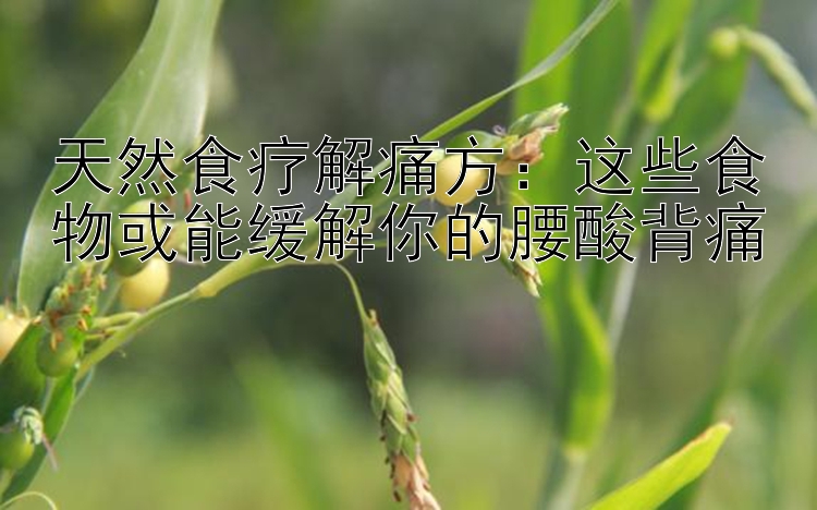 天然食疗解痛方：这些食物或能缓解你的腰酸背痛