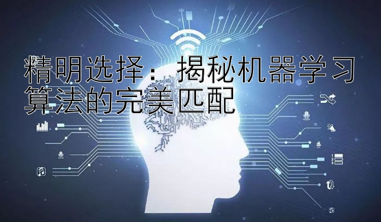 精明选择：揭秘机器学习算法的完美匹配