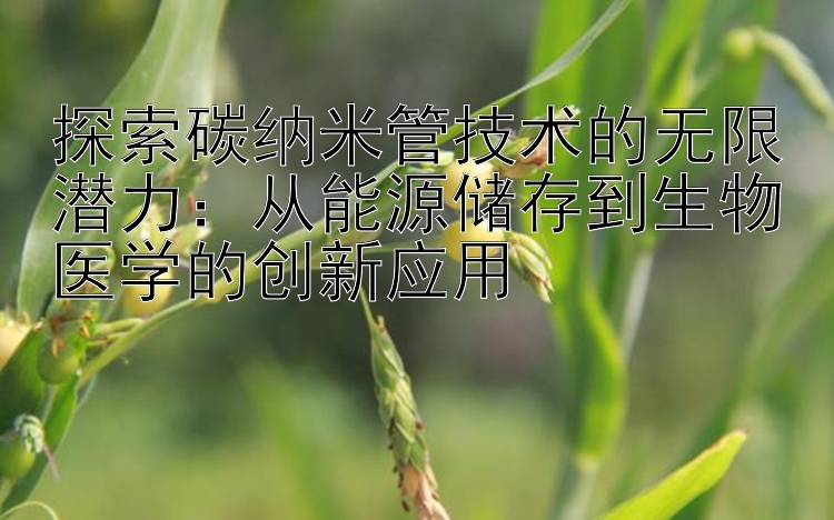 探索碳纳米管技术的无限潜力：从能源储存到生物医学的创新应用