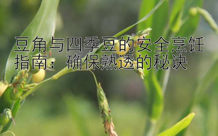 豆角与四季豆的安全烹饪指南：确保熟透的秘诀