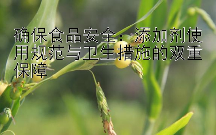 确保食品安全：添加剂使用规范与卫生措施的双重保障